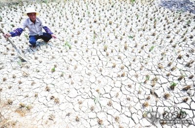 我國多地最高氣溫突破歷史極值