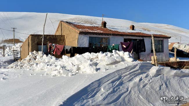 內(nèi)蒙古錫林郭勒盟部分地區(qū)遭遇雪災(zāi)