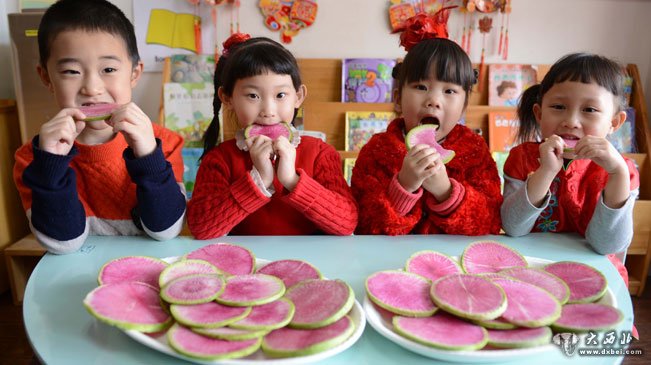 石家莊淘寶貝南海幼兒園的小朋友吃生蘿卜“咬春”