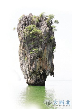 普吉島旅游“代言人”——“大白菜”