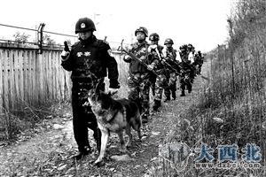 南京警方攜警犬搜山 資料圖片