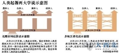 人類進化論兩種觀點示意圖