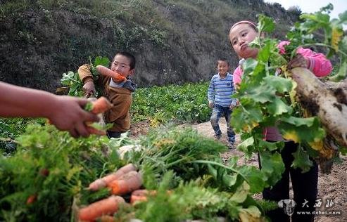 10月5日，在蘭州市榆中縣甘草店鎮(zhèn)，幾個小朋友在搬運剛剛采摘的蘿卜。新華社記者 張錳 攝