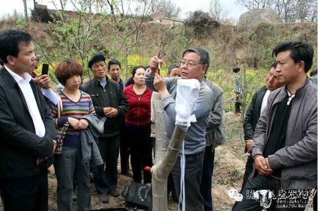 隴南禮縣：小核桃走上農(nóng)民致富大舞臺(tái)