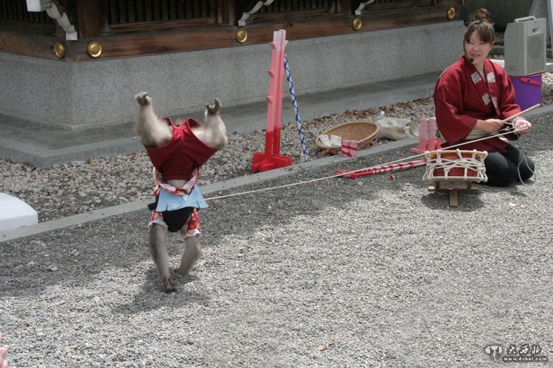 日本的耍猴藝人