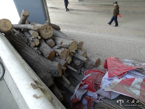 小西湖立交西橋下雜物堆成山