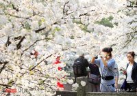 杭州太子灣公園