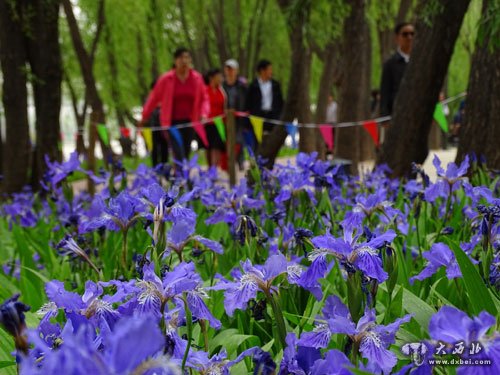 黃河步道景色美