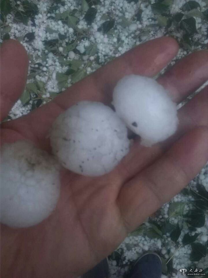 天祝永登慘遭冰雹襲擊