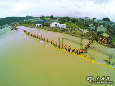 ▲浙江省溫州市鰲江流域平陽縣麻步段，軍民在堤上合力封堵決口。 圖/東方IC