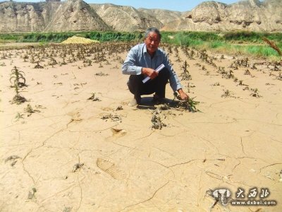 200多畝地的蔬菜都被泥石流沖毀了