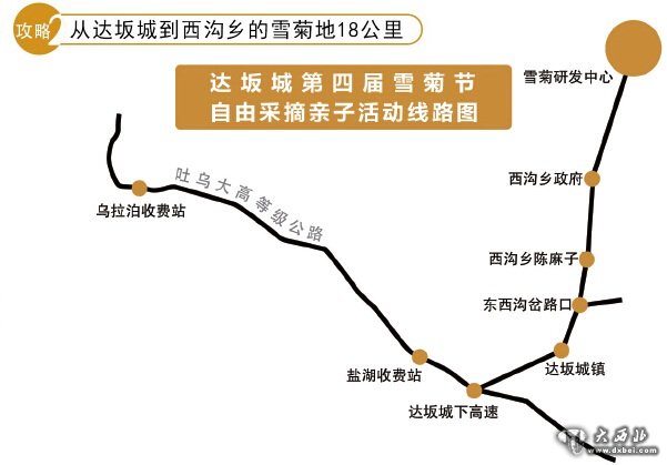 第四屆雪菊文化旅游節(jié)8月22日開幕 達(dá)坂城200畝雪菊邀你免費(fèi)摘