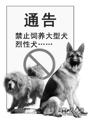 城市四區(qū)個(gè)人不得飼養(yǎng)大型犬烈性犬