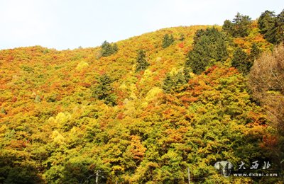 “紅葉”撬動榆中旅游