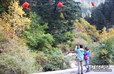 “紅葉”撬動榆中旅游