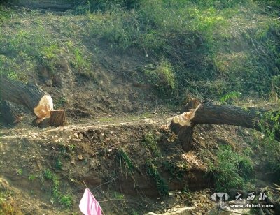 市民吐槽安寧區(qū)大青溝洪道治理工程