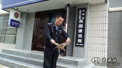 蘭州森警救助國家二級保護動物