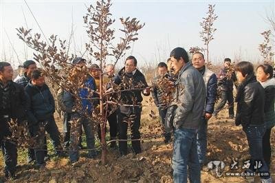 陜西20名職業(yè)農(nóng)民被錄取上大學(xué) 平均年齡近38歲