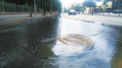 下水井泛水臭了整條街