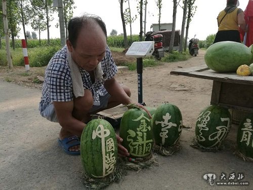 河南農(nóng)民西瓜上寫書法成“網(wǎng)紅”11天賣6000斤