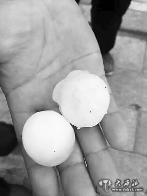 甘南多地遭受暴雨冰雹襲擊