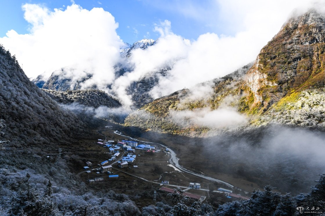 美麗玉麥 風(fēng)景如畫