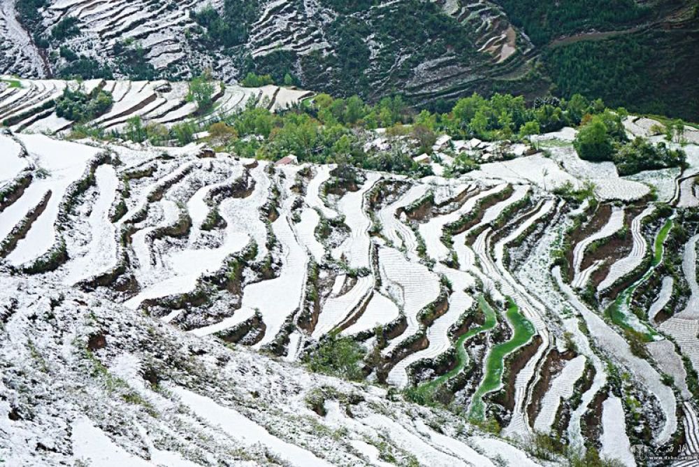 甘肅宕昌：初夏飛雪