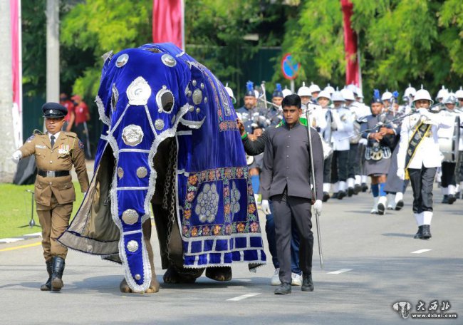 斯里蘭卡舉行閱兵式慶祝獨(dú)立73周年