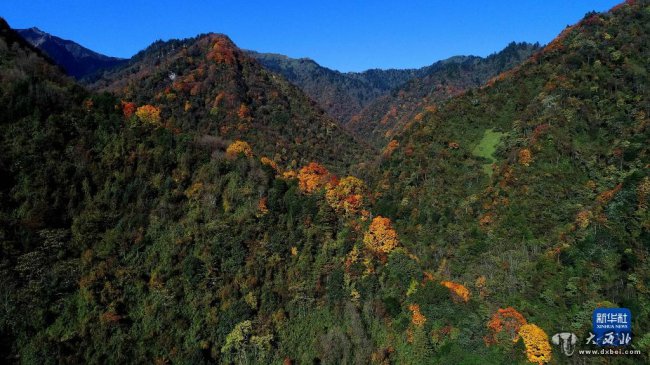 打通“熊貓孤島”--大熊貓國(guó)家公園建設(shè)熊貓交流廊道