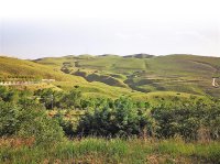 寧夏草原生態(tài)修復(fù)：順